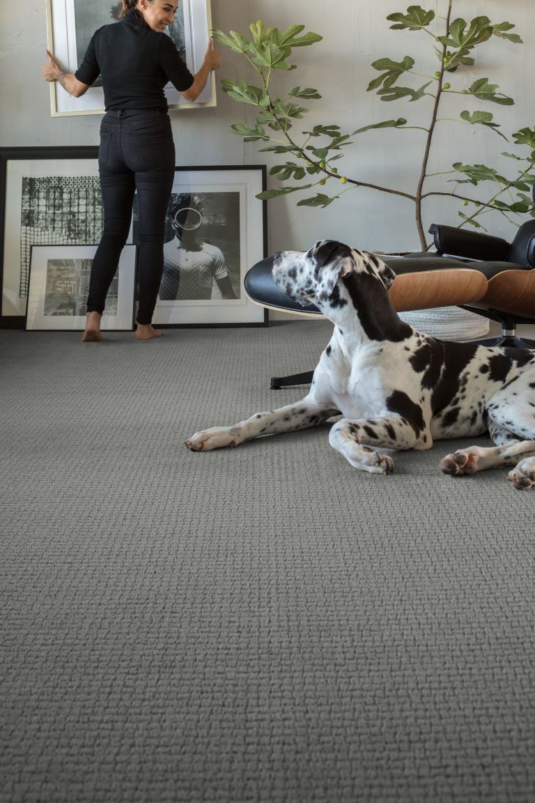 How Much Does New Carpet Cost?